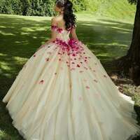 Appliques Ball Gown Formal Dress, Prom Gowns,Prom Dresses Z59 - Thumbnail 1