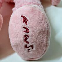 ArTToy by Kaws "KAWS BFF Pink Plush"  - Thumbnail 5