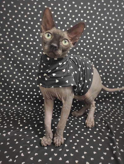 Little Big Hearts - Sleepwear