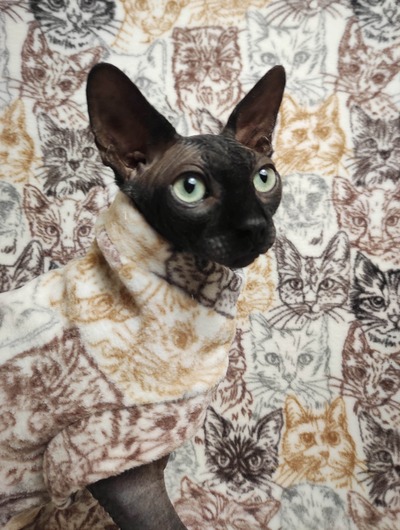 Pussy Control - Luxe Fleece