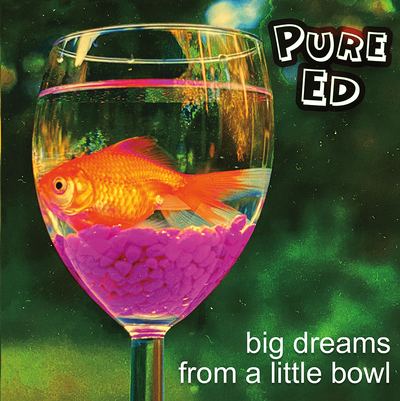 The Hawk of New York: Pure Ed Book and Record Set