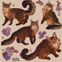 Somali cat (Teodor) sticker sheet - Thumbnail 1