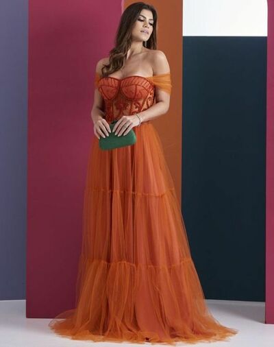 Elegant Orange A Line Tulle Prom Dress Evening Formal Gowns