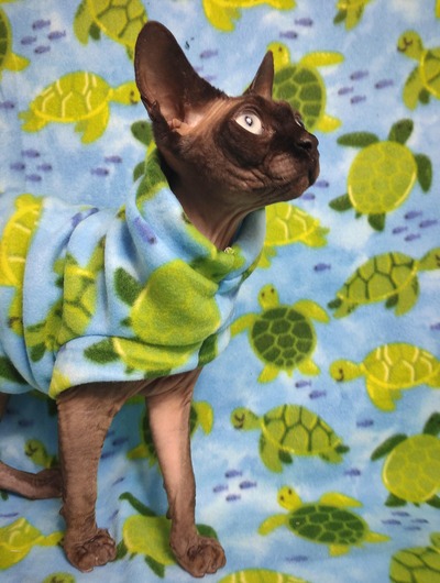 Turtle Time - Fleece