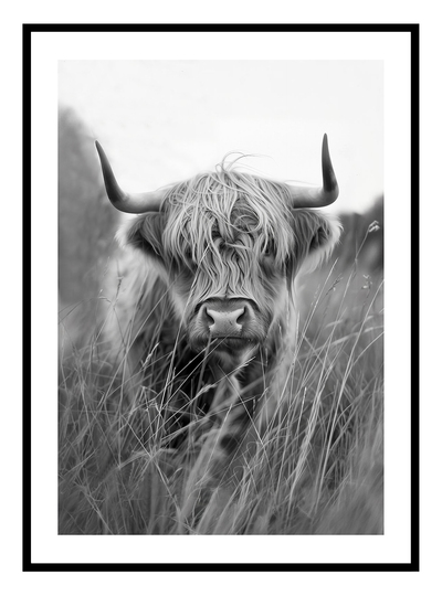 Highland Cow Art Print