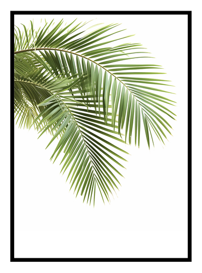 Palm Leaves (A) Art Print