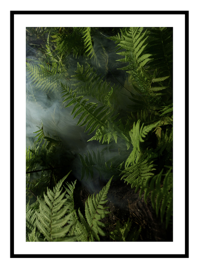 Jungle Leaves Art Print