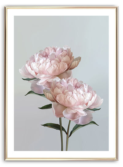 Baby Pink Peonies Art Print
