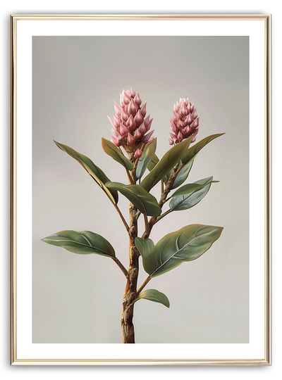 Protea Flowers Art Print