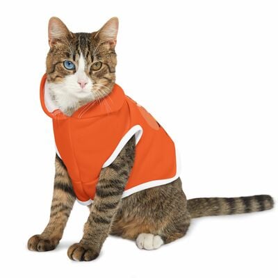 PurrrFection Takes Time -Cat Hoodie