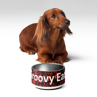 Groovy Dog Bowl