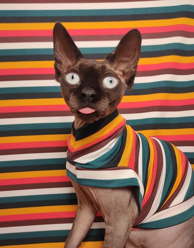 Spring Ahead - Sleepwear