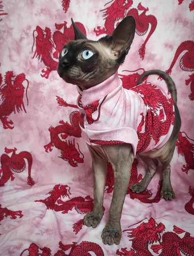 Chinese Dragon - Sleepwear