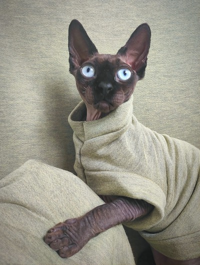 Green Machine Yeezus