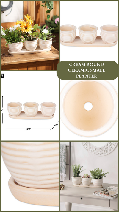 Cream Round Ceramic Small Planter