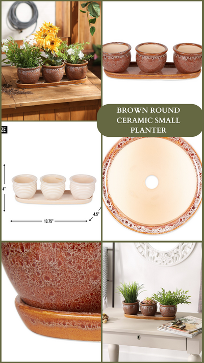 Brown Round Ceramic Small Planter