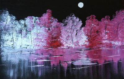 There's A Lake On Venus Art Print