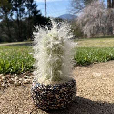 "New Classic Crocheted Cactus" by Amy Drever