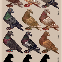 Mystery box: Pigeon keychain + sticker - Thumbnail 2