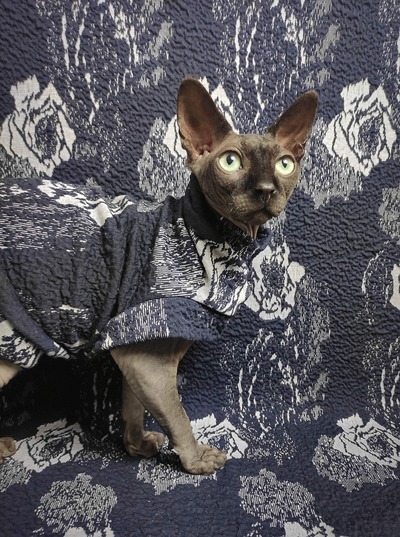 You Don't Bring Me Flowers