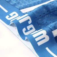 Wholesale 6PK Wangjiang Men's sexy underwear lingerie breathable mesh holes high-legs pouch briefs 3075GC - Thumbnail 6