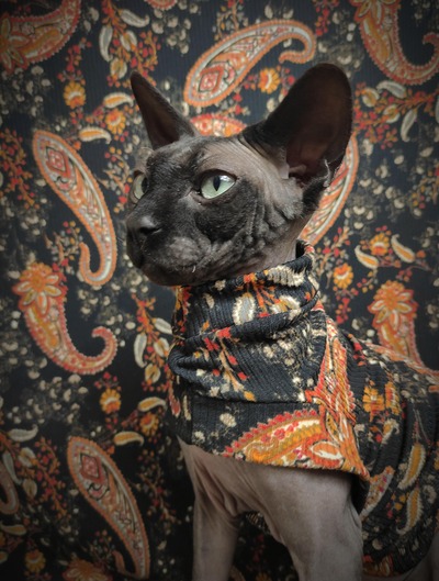 Black Paisley Ribbed For Her Pleasure