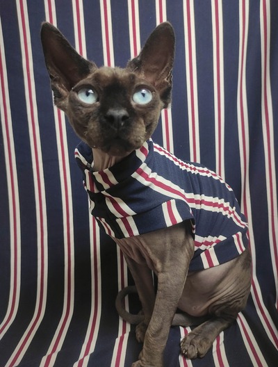 Ralph Clawren - Sleepwear