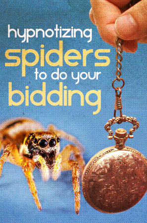Hypnotizing Spiders to do Your Bidding