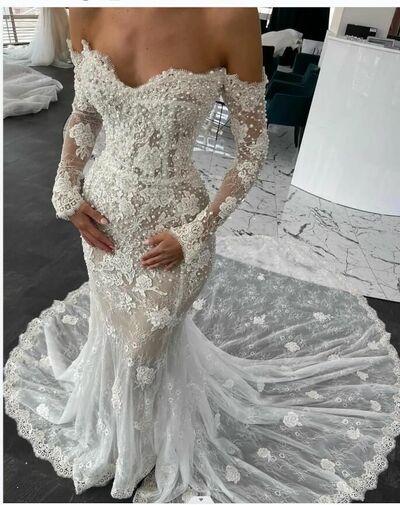 Sexy Mermaid Wedding Gown, Appliques Tulle Lace Bridal Gown Wedding Dress