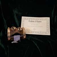 Teacup Mimic Adoption - Thumbnail 6