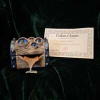 Standard Mimic Adoption - Thumbnail 1