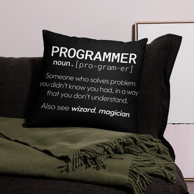 Theory of Relativity Programmer Nerdy Pillow