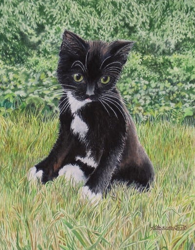 "Shy Kitten" Artwork By N.E.Thompson, Art Print