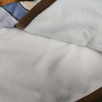 Honkai Star Rail Mini Blankets - Thumbnail 3