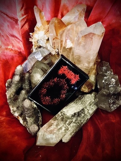 Civerous-Live in Oslo GSR059