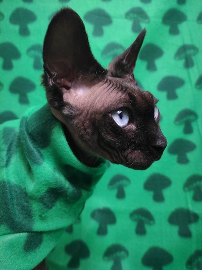 Shrooms - Lightweight Fleece