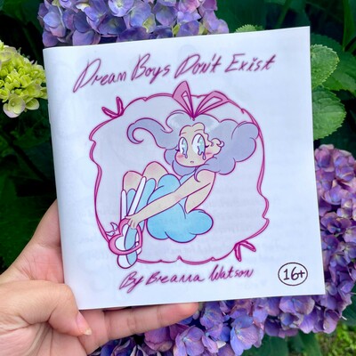 Dream Boys Don't Exist Zine