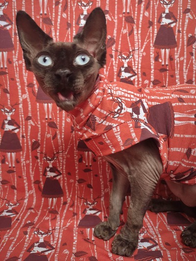 My Spirit Animal - Sleepwear