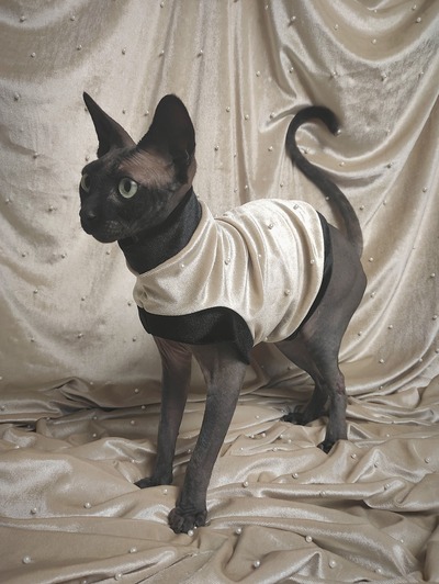 Pearl Blush - Velvet