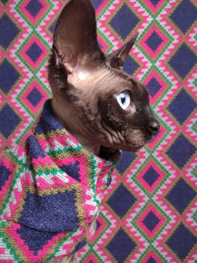 Indigenous - Sweaterknit