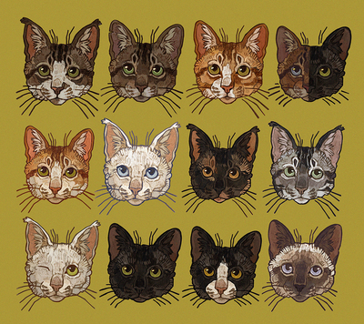 Mystery bag:Cat keychain + sticker