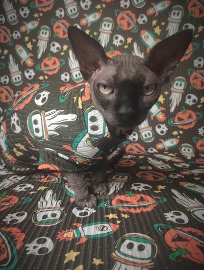 Halloween Space Cadets - Ribbed For Her Pleasure