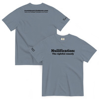 Nullification: The Rightful Remedy - Thumbnail 8