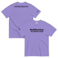 Nullification: The Rightful Remedy - Thumbnail 10