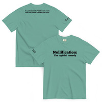 Nullification: The Rightful Remedy - Thumbnail 11