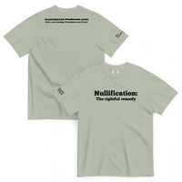 Nullification: The Rightful Remedy - Thumbnail 13