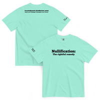 Nullification: The Rightful Remedy - Thumbnail 15