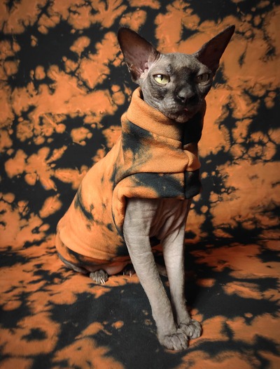 Pumpkin Patch Yeezus