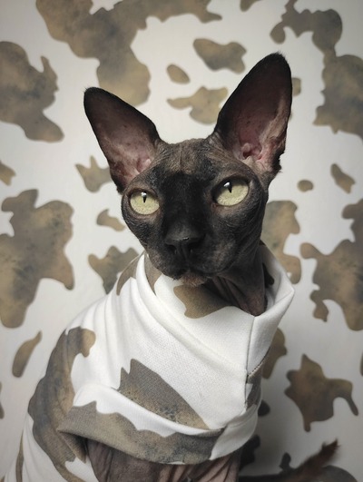 Bitch! I'm A Cow Yeezus