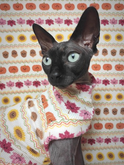 Fall Fair Isle - Thermal